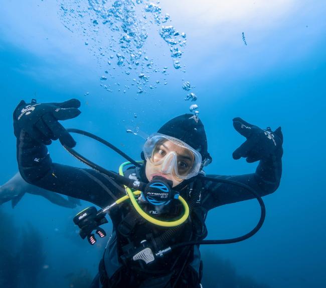 diving-in-san-diego