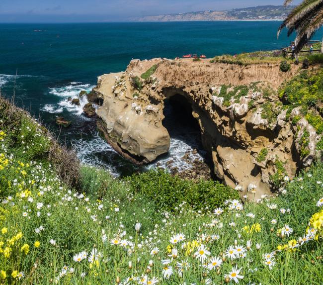 snorkeling-san-diego