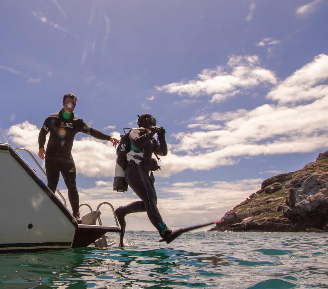 scuba-certifications-san-diego