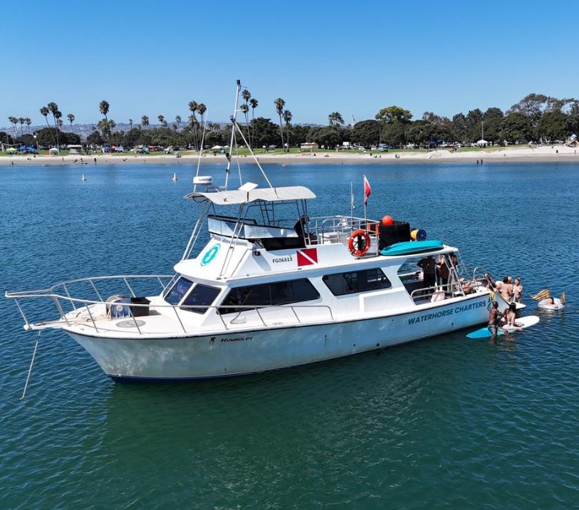 boat-rides-in-san-diego