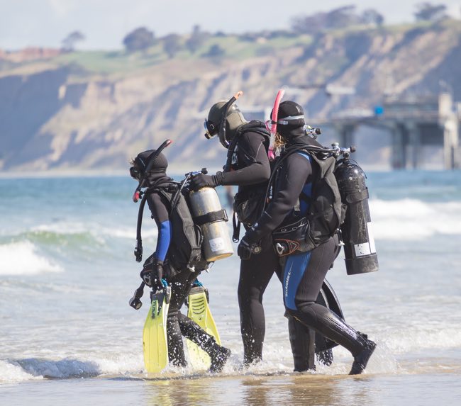 la-jolla-shores-diving